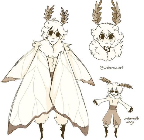 Moth Race Dnd, Moth Oc Design, Moth Gijinka, Human Bug Hybrid, Moth Humanoid Art, Moth Humanoid Male, Dnd Mothfolk, Moth Creature Design, Australian Character Design