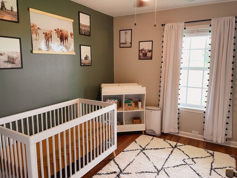 Cow Rug Nursery, Cow Theme Nursery Gender Neutral, Green Cow Nursery, Neutral Cow Nursery, Western Nursery Accent Wall, Western Nursery Color Pallet, Nursery Ideas Cowboy, Ranch Style Nursery, Green Western Nursery