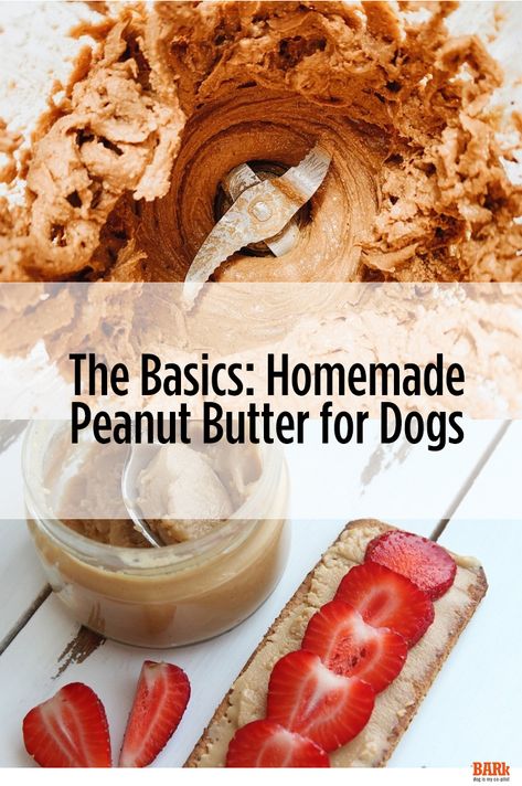 Learn how to make home made peanut butter for your pooch using just three simple ingredients. Homemade Dog Peanut Butter, Homemade Peanut Butter For Dogs, Peanut Butter Diy Homemade, Peanut Butter Benefits, Dog Peanut Butter, Peanut Butter Substitute, Dog Meals, How To Make Home, Peanut Butter For Dogs