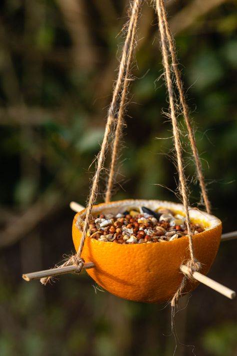 Bird Feeder Christmas, Orange Bird Feeder, Outside Tree Decorations, Diy Bird Feeder Easy, Home Made Bird Feeders, Bird Feeder Station Ideas, Tree Bird Feeder, Bird House Diy, Rustic Bird Feeders