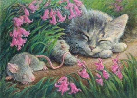 Cat Art Illustration, Most Beautiful Animals, Cats Illustration, Cat Sleeping, Arte Animal, Cartoon Clip Art, Cat Painting, Vintage Cat, Cat Nap