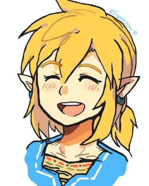 Zelda Pfp, Link Chibi, Breath Of The Wild Art, Oot Link, Zelda Drawing, Link Botw, Legend Drawing, Legend Of Zelda Characters, Wild Art