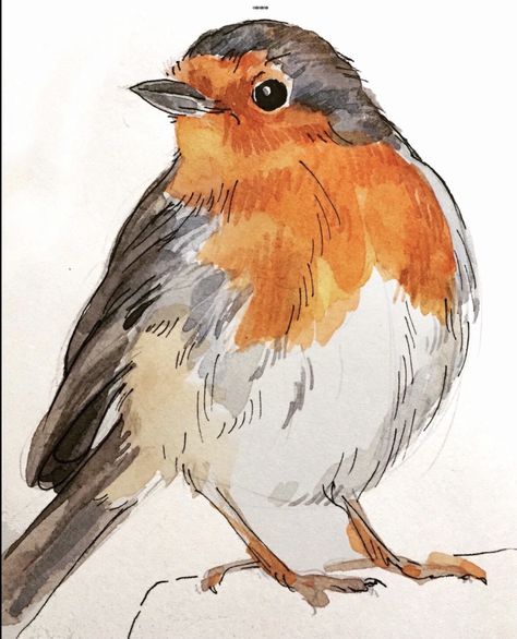 Robin Bird Sketch, Robin Bird Drawing, Sketches Of Birds, Robin Sketch, Birds Sketch, Robin Drawing, Bird Painting Acrylic, Doodle Sketchbook, Robin Redbreast