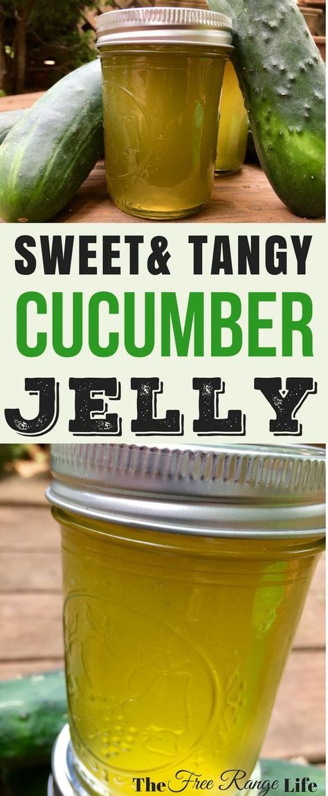 Are you looking for something other than pickles to do with your cucumbers? Try this sweet and tangy cucumber jelly for something light and refreshing! Cucumber Jelly Recipe, Preserve Cucumbers, Cucumbers Garden, Cucumber Jelly, Pressure Canning Recipes, Cucumber Canning, Canning Food, Jam Recipes Homemade, Canning Jam