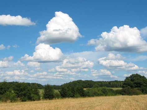 Cumulus Mediocris Clouds Toy Story Clouds, Cumulonimbus Cloud, Cloud Type, Cumulus Clouds, Todays Weather, Creative Landscape, Clouds Photography, Cat Wallpaper, Earth Science