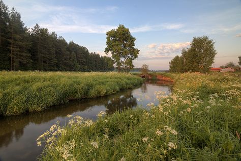 Horizontal Landscape Aesthetic, Green Aesthetic Landscape, Nature Aesthetic Landscape, Aesthetic Background Landscape, Nature Horizontal, Landscape Aesthetic, Grass Landscape, Aesthetic Landscape, Landscape Horizontal