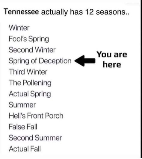 Nashville Tennessee’s Instagram photo: “Is it second winter, spring of deception, or third winter in TN?” Southern Jokes, Autumn America, Southern Humor, Clean Jokes, Love Me Quotes, Nashville Tennessee, Funny Laugh, Popular Memes, The Fool