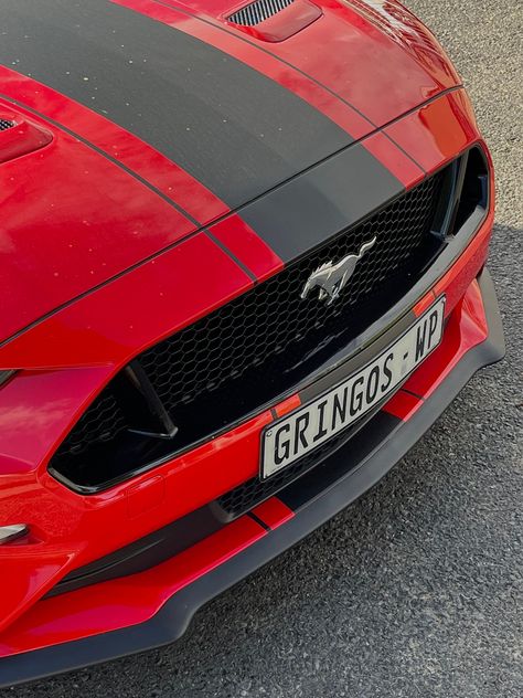 Mustang Horse Aesthetic, Red Mustang Aesthetic, Black Mustang Horse, Mustang Aesthetic, Winter Drive, Mustang Red, Sports Cars Mustang, Black Corvette, Cars Mustang