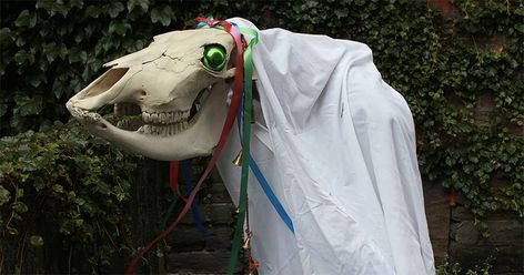 5 Poems to Appease the Infamous Welsh Christmas Horse Skeleton ‹ Literary Hub Mari Lwyd, Welsh Christmas, Horse Skull, Hobby Lobby Christmas, Christmas Horses, Battle Star, Hobby Horse, Nagasaki, Christmas Characters