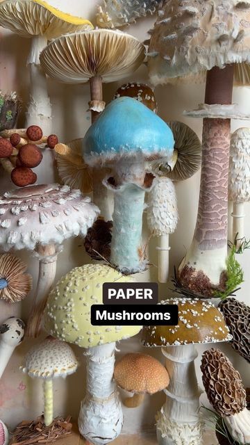 Ann Wood @Woodlucker/paper art on Instagram: "PAPER mushrooms…..fluffy handmade mushroom collection is growing!  #woodlucker #paperartist #paperart #imadethis #handmade #papermushroom #viral #viralreels #viralpost #reels #reelsinstagram #reelsvideo #explorepage #mushrooms #mushroomsofinstagram #ilovemushrooms #garden #gardenlifestyle #marthastewart #betterhomesandgardens #antiques #cottagecore #fluffy #botanical #botanicalart #botanicalillustration" Cardboard Mushroom, Paper Mache Mushroom, Mushroom Sewing, Paper Mushrooms, Mushroom Collection, Window Crafts, Ann Wood, Mushroom Art, Paper Artist