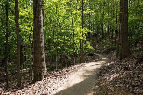 Cle Metroparks Celebrates Opening Day for Trails Launches Trail Challenges Brandywine Falls, Cleveland Metroparks, Cuyahoga Valley National Park, Northeast Ohio, Take A Hike, Opening Day, Fresh Air, Some People, How To Stay Healthy