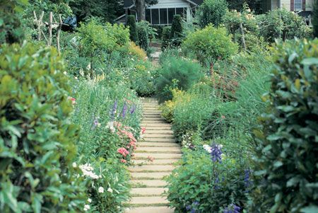 walkway Small Flower Gardens, Mother Earth Living, Vegetable Garden Planning, Herb Gardening, Building A Pergola, Plants Ideas, Flower Gardens, Beautiful Flowers Garden, Pergola Plans