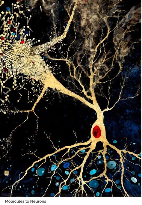 Neuro Art Neuroscience, Brain Poster Aesthetic, Synapse Art, Neuro Aesthetic, Neurology Aesthetic, Immunology Art, Rebirth Concept, Neurological Art, Neuroscience Aesthetic