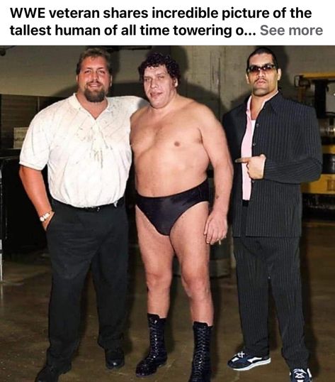 André The Giant, Andre The Giant, Hulk Hogan, Big Show, World News, Hulk, Life Is Beautiful, All Time, New World