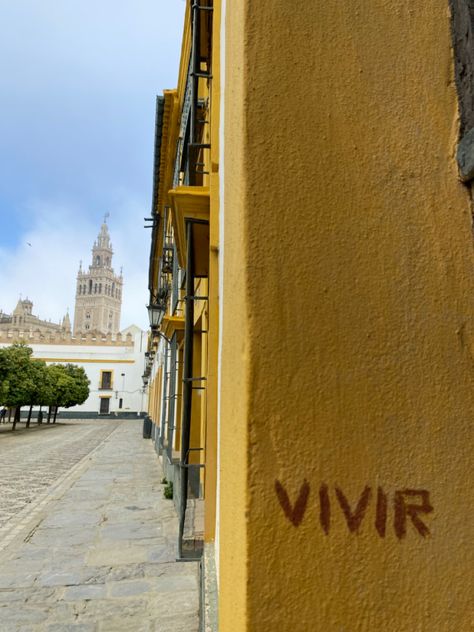 Andalucia Aesthetic, Tattoo Sevilla, Sevilla Aesthetic, Spain Streets, College Abroad, Sevilla Spain, Seville Spain, Summer Is Coming, Andalusia