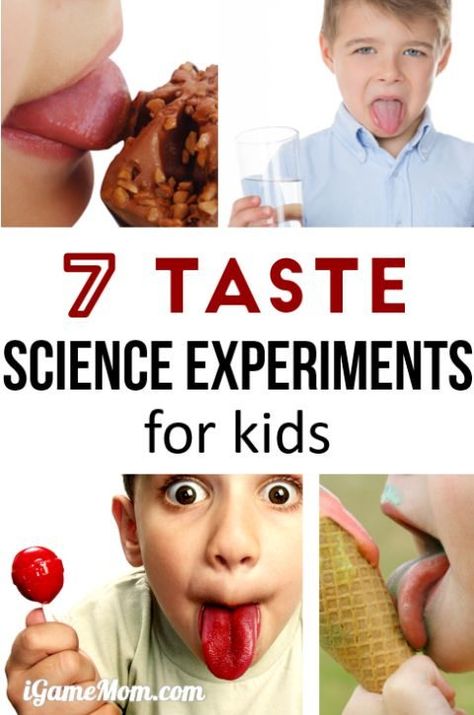 Fun science experiments for kids to learn about sense of taste, why can we taste different flavors? Does nose play a role in taste? Wonderful resource for 5-senses study with STEM activities for kids of all ages, from preschool, kindergarten, to school age. Fun Stem Activities, School Age Activities, Science Experiments For Kids, Experiments Kids, Senses Activities, Experiments For Kids, Kindergarten Curriculum, Parenting Resources, Kids Science