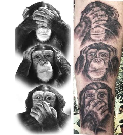 3 Monkeys Tattoo Design, 3 Monkeys Tattoo, Monkeys Tattoo, Geometric Tattoo Stencil, 3 Monkeys, Nature Tattoo Sleeve, Gorilla Tattoo, Monkey Tattoos, Three Wise Monkeys