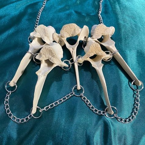 Real Deer Vertebrae Chain Necklace - Ethically sourced - Available for purchase on Poshmark and Mercari. Check my bio for the links to them. #goth #gothic #gothicstyle #gothicfashion #gothfashion #punkstyle #festivalfashion #grungestyle #grungefashion #poshmarkseller #poshmark #mercari #mercariseller #taxidermy #taxidermist #vultureculture #bones #oddities #oddity #animalbone #animalbones #animalbonejewelry #vulturecultureart #vultureculturejewelry #postapocalyptic #avantgarde #witchythings ... Animal Bone Jewelry, Vulture Culture, Animal Bones, Grunge Fashion, Goth Fashion, Jewelry Inspo, Punk Fashion, Gothic Fashion, Festival Fashion