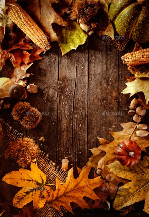 Autumn Background by mythja. Thanksgiving dinner. Autumn fruit on wood with copyspace. Thanksgiving autumn background#Thanksgiving, #dinner, #mythja, #Autumn Halloween Screensavers, Thanksgiving Backgrounds, Thanksgiving Door Decorations, Hanukkah Background, Happy Thanksgiving Wallpaper, Quotes Thanksgiving, Appetizers Thanksgiving, Simple Thanksgiving Table, Desserts Thanksgiving