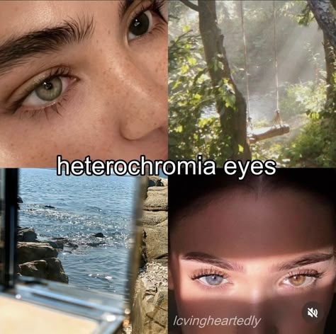 Amber Eyes Heterochromia, Brown And Blue Eyes Heterochromia, People With Two Different Colored Eyes, Different Eye Colors Heterochromia, Hazel Vs Brown Eyes, Rare Eyes Colors, Blue And Brown Eyes Heterochromia, Gl2 Eye Ideas, Heterochromia Eyes Blue And Green