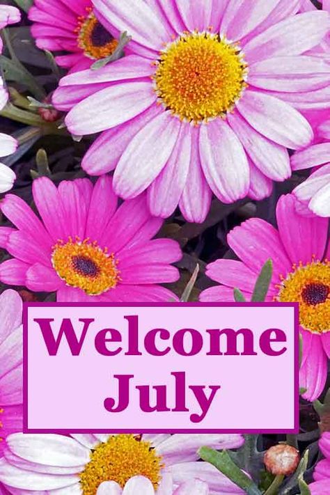 Welcome July images free cute happy New month Instagram story background ideas Happy July Month, Welcome July Images, Picture Background Ideas, Happy New Month July, Month Instagram Story, Happy New Month Images, Flowers To Print, Hello July Images, Week Motivation