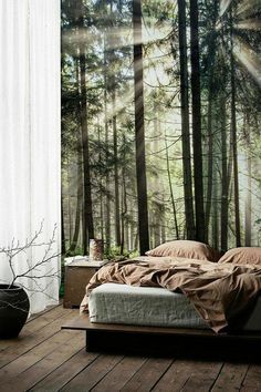 Forest Theme Room, Forest Bedroom Ideas, Forest Wallpaper Bedroom, Vast Forest, Forest Themed Bedroom, Woodland Mural, Wallpaper Powder Room, Forest Bedroom, Sunshine Wallpaper