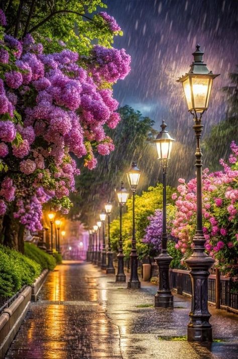 Rainy Weather Wallpaper, Rainy Backgrounds, Street Veiw, Ukraine Vs Russia, Evening Pics, Weather Wallpaper, Good Night Love Pictures, Soothing Images, Spiritual Pictures