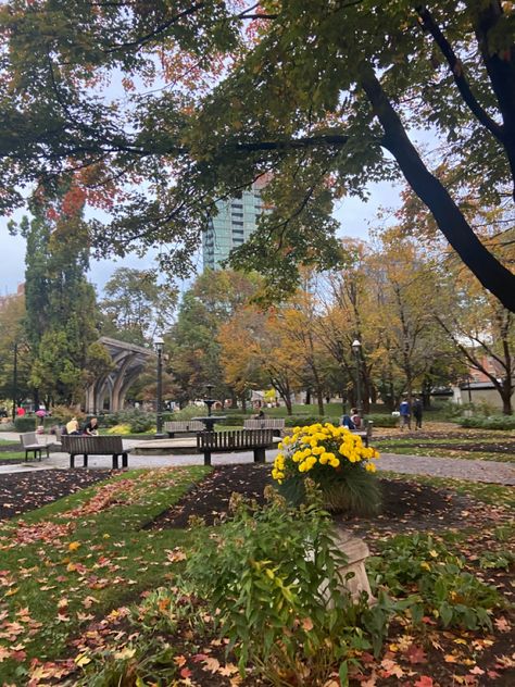 toronto, canada, pretty, fall, autumn, aesthetic, america, cozy, park, leaves, trees, october, inspo Toronto Autumn, Toronto Parks, Toronto, Flowers