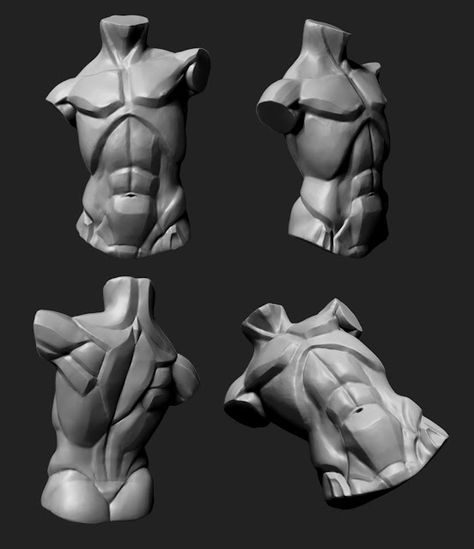 Chest Anatomy, Chest Reference, Zbrush Anatomy, Human Anatomy For Artists, 3d Anatomy, Anatomy Sculpture, Anatomy Tutorial, Human Anatomy Drawing, Human Anatomy Art