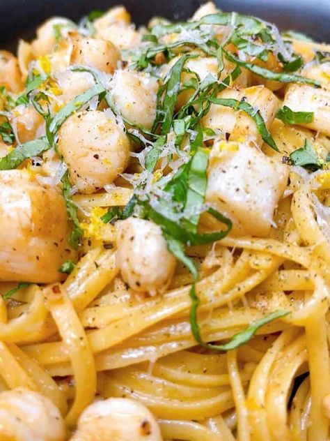 Scallops And Pasta Red Sauce, Scallop Spaghetti In White Wine Sauce, Frozen Bay Scallop Recipes, Bay Scallop Pasta, Corn Scallop, Scallops With Pasta, Scallop Pasta Recipe, Scallops Pasta, Bay Scallop Recipes