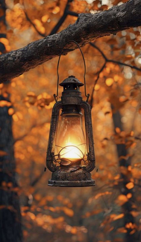 Lantern In The Dark, Lanterns Aesthetic, Forest Lantern, Lantern Aesthetic, Fall Lantern, Camping In The Woods, Forest Setting, Lantern Hanging, Fall Nature