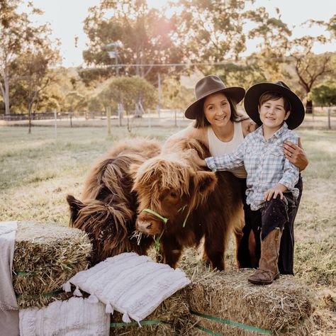 Want the ULTIMATE family experience? Imagine having family photos that look like this - on your wall - to remember for ever 😮 Well now you can! I have teamed up with the incredible @rhanzbarn for this once-in-a-lifetime opportunity to get up close and person with these beautiful Highland Cows - right here in Bullsbrook! Feed, pat and snuggle these gentle giants with a limited mini-session photoshoot. We have 1 DAY ONLY in OCTOBER for Sunset Minis - so book now!!!! Sunset Mini Sessions ... Cow Family Pictures, Mini Cows, Family Christmas Pictures, Farm Photo, Mini Session, Gentle Giant, Mini Sessions, Highland Cow, Family Photoshoot