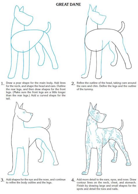 How to draw a Great Dane Doberman Sketch, Tatoo Dog, Draw Dogs, Dog Drawing Tutorial, Draw Animals, Fashion Illustrations Techniques, Dover Publications, Dog Crafts, Dog Illustration