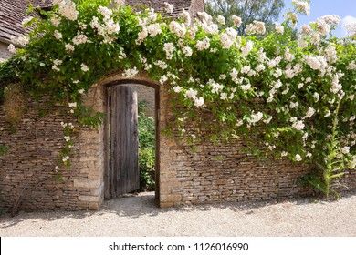 Rose Covered Garden Wall Gate Cotswolds Stock Photo 1126016990 | Shutterstock Brick Wall Gardens, Stone Walls Garden, Covered Garden, Better Homes And Garden, Wall Garden, Up House, Garden Edging, Garden Gate, Garden Borders