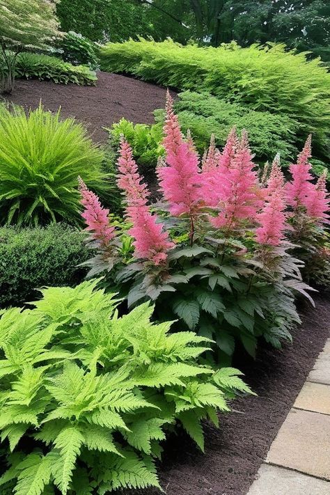 10 Best Shade Plants Zone 5 Best Shade Plants, Duck Garden, Full Shade Plants, Best Plants For Shade, Fern Images, Shady Garden, Coral Bells Heuchera, Virginia Bluebells, Japanese Forest