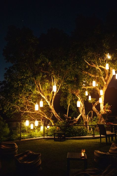 Backyard Candles Ideas, Backyard Lighting Ideas, Backyard Trees, Solar Path Lights, Led String Lights Outdoor, Backyard Plan, Outdoor Party Lighting, White String Lights, Outdoor Candles