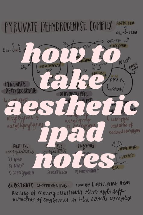 How to Take Aesthetic Notes on Your iPad How To Write Aesthetic Notes On Ipad, Ipad Homework Aesthetic, Note Taking Tips Ipad, Digital Notetaking Aesthetic, Good Notes Examples, Aesthetic Notes Good Notes, Good Note Hacks, Ipad Notes College Notability, Writing Practice Aesthetic