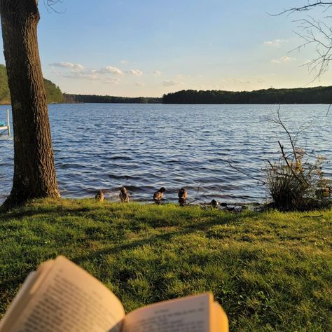 Little day of reading by the beach ft. duck friends #reading #cabin #lakeday #readingbythelake #lakereadings Friends Reading, Cabin Aesthetic, By The Beach, Summer Bucket Lists, Summer Feeling, Summer Dream, Summer Reading, Summer Nights, Summer Aesthetic