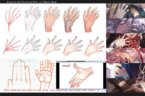 Male Torso Anatomy, Male Vs Female, Hands Drawing, Francis Picabia, Female Hands, Digital Painting Tutorials, Drawing Artwork, Step By Step Drawing, Face Drawing