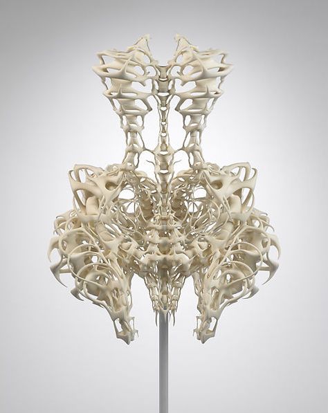 Skeleton Dress, A Level Textiles, Iris Van Herpen, Body Adornment, Costume Institute, 3d Printing Technology, Metropolitan Museum Of Art, Metropolitan Museum, Museum Of Art