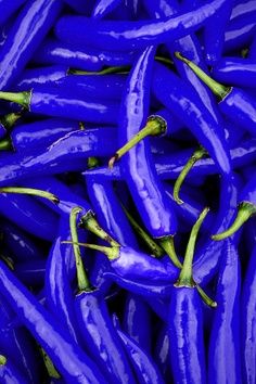 Holy bajeezles ..... their blue!!!! Everything Blue, Hot Peppers, All Things Blue, Blue Food, Beautiful Fruits, Colorful Fruit, Exotic Fruit, Fruit Garden, Chili Peppers