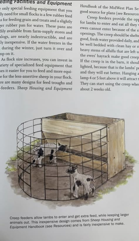 Sheep Feeders, Sheep Shelter, Goat Playground, Sheep Pen, Goat Toys, Animal Enclosures, Livestock Barn, Livestock Shelter, Goat Shelter