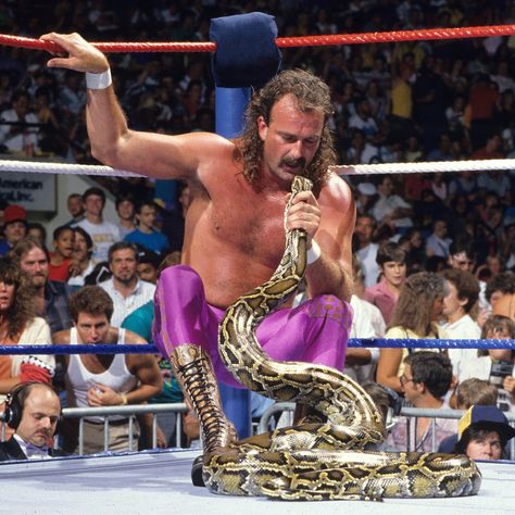 Jake The Snake, Jake The Snake Roberts, Jesse Ventura, National Best Friend Day, Wwe Pictures, Best Friend Day, Andre The Giant, Wwe Legends, Wrestling Superstars