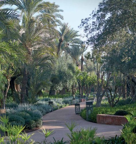 Swimming pool in Marrakech for luxury-lovers | Le Jardin Royal Mansour Arabic Garden, Marrakech Gardens, Morocco Honeymoon, Royal Mansour Marrakech, Hotel Swimming Pool, Healing Garden, Sun Loungers, Sloped Garden, Garden Villa