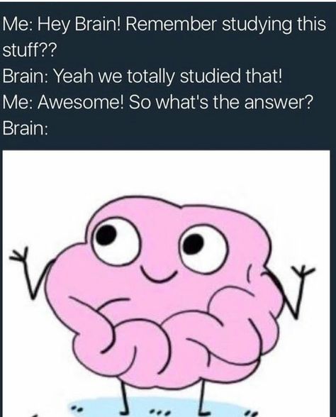 So typical of brain. Reblogged from Bad Science Jokes. Memes In Real Life, Finals Week, Funny School, School Memes, Memes Br, School Humor, Memes Humor, E Card, College Life