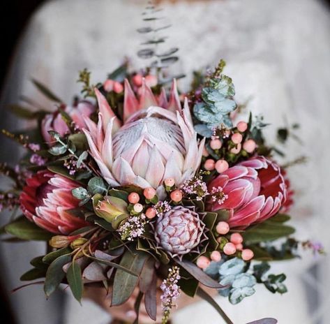 March Wedding Flowers, Protea Wedding, Wedding Flower Ideas, Protea Bouquet, March Wedding, Protea Flower, Australian Flowers, Blush Wedding Flowers, Australian Native Flowers