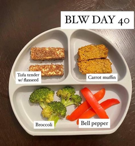 Blw Plates 6 Months, Blw 6 Months, Baby Led Weaning Recipes 6 Months, Baby Meal Plan, Blw Recipes, Toddler Dinner, Easy Baby Food Recipes, Baby Led Weaning Recipes, Weaning Recipes