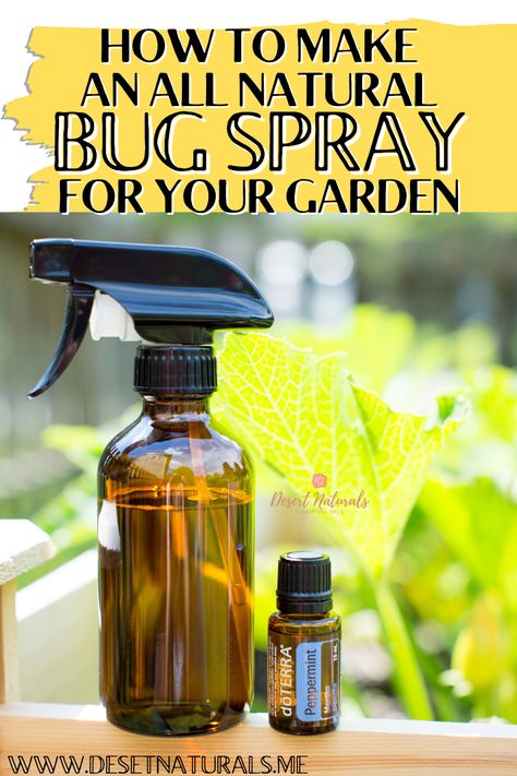 essential oil bug spray with bottle of doterra peppermint essential oil and garden in the background. Aphid Spray Homemade, Insecticide For Plants, Garden Bug Spray, Bug Spray For Plants, All Natural Bug Spray, Homemade Insecticide, Garden Pest Spray, Essential Oil Bug Repellent, Peppermint Oil Uses