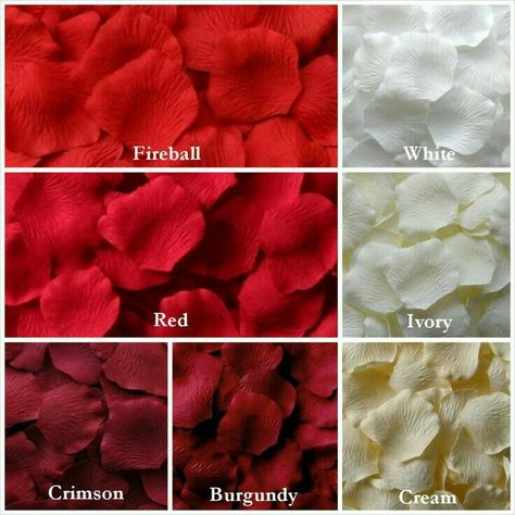 Petal Aisle, Rose Petal Aisle, Colour Shade Card, Fake Rose Petals, Petal Toss, Flower Girl Petals, Color Knowledge, Aisle Runners, Silk Rose Petals