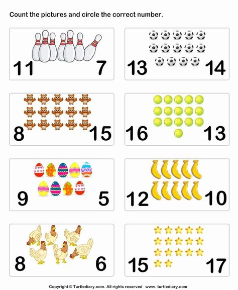 Counting to 20 Worksheet New Counting Worksheets 1 20 Animals 1 10 Shapes 11 20 30 – Chessmuseum Template Library Numbers 16-20 Worksheets, 0-20 Number Activities, Math Counting Worksheets, Math Counting Activities, Counting Worksheets For Kindergarten, Identifying Numbers, Preschool Math Games, Counting To 20, Counting Worksheets